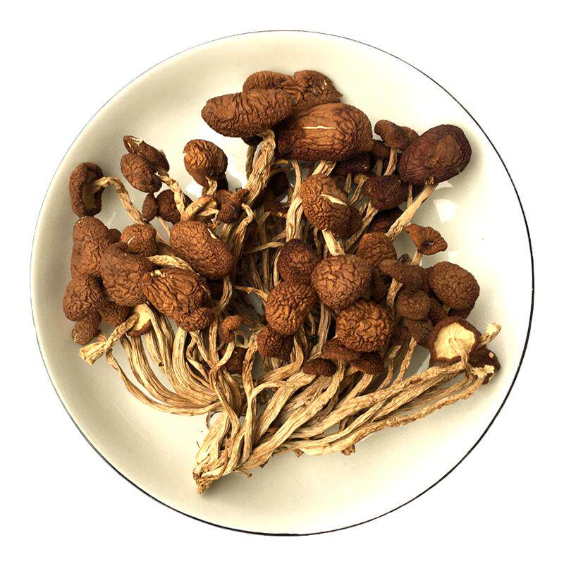 茶树菇干货不开伞小蘑菇干茶树菇