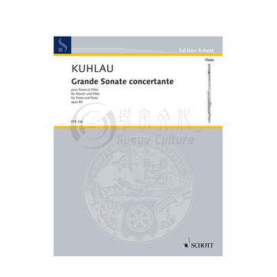 库劳大奏鸣协奏曲op85