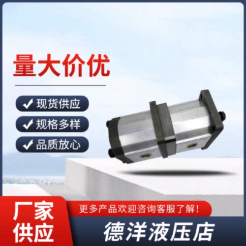 询意大利赛特玛双联泵SETTIMA螺杆泵GR28-2V-013-F1AC3液压齿轮泵