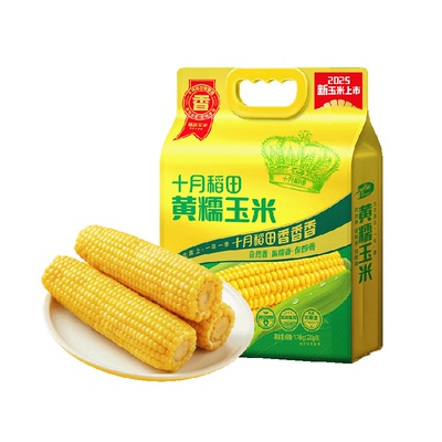 十月稻田黄糯玉米棒低脂