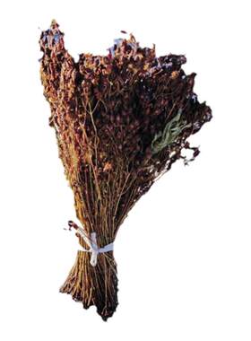 野生草农家自采泡茶泡酒稳心草鹿