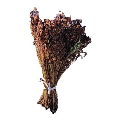 野生草农家自采泡茶泡酒250g鹿心