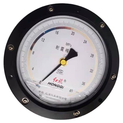 红旗仪表抗震精密压力表红旗浙江