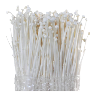 金针菇种植菌包蘑菇香菇金针菇菌种盆栽儿童双孢菇口蘑蘑菇种植包