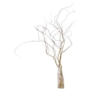 荷兰金龙柳鲜切枝条客厅大型盆栽水培生根好养绿植物室内金丝楠藤