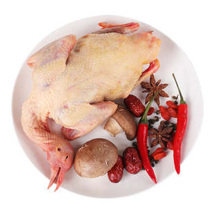 鸽子新鲜现杀正宗农家散养乳鸽土鸽肉鸽生鲜鸽子乳鸽5年老鸽子蛋