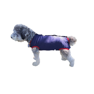 母狗小型犬连体生理裤月经期姨妈裤卫生裤防骚扰外出免脱可大小便