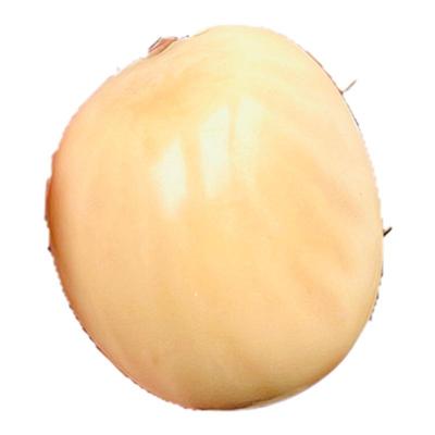 天然象牙果文玩手把件