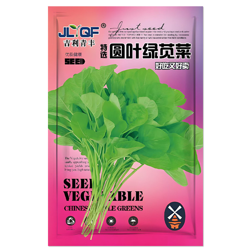 圆叶绿苋菜种子笕菜汗汉菜
