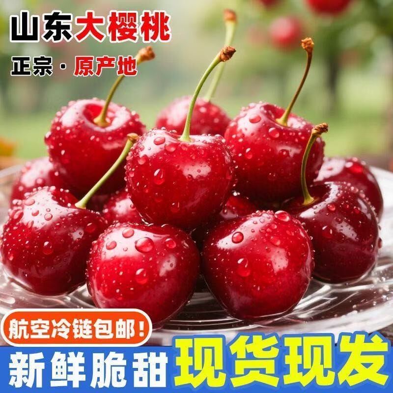 山东红灯露天大樱桃新鲜采摘顺丰特快冷链包邮到家净重5斤