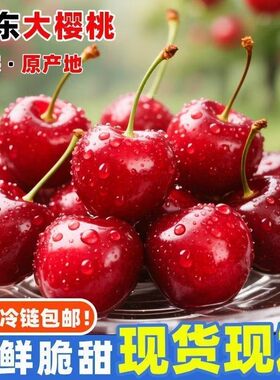 山东红灯露天大樱桃新鲜采摘顺丰特快冷链包邮到家净重5斤