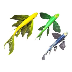 蝶翼斑马鱼长尾长鳍大帆观赏鱼龙凤小型淡水鱼翡翠绿红绿灯科孔雀