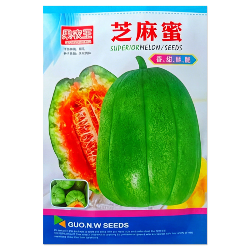 芝麻蜜甜瓜种子绿皮香瓜
