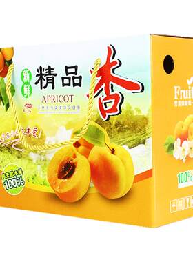 5斤10斤杏子礼盒包装箱定制批发