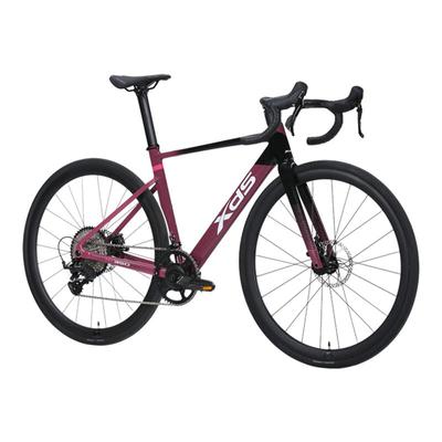 xds喜德盛官方旗舰店2025款AD350