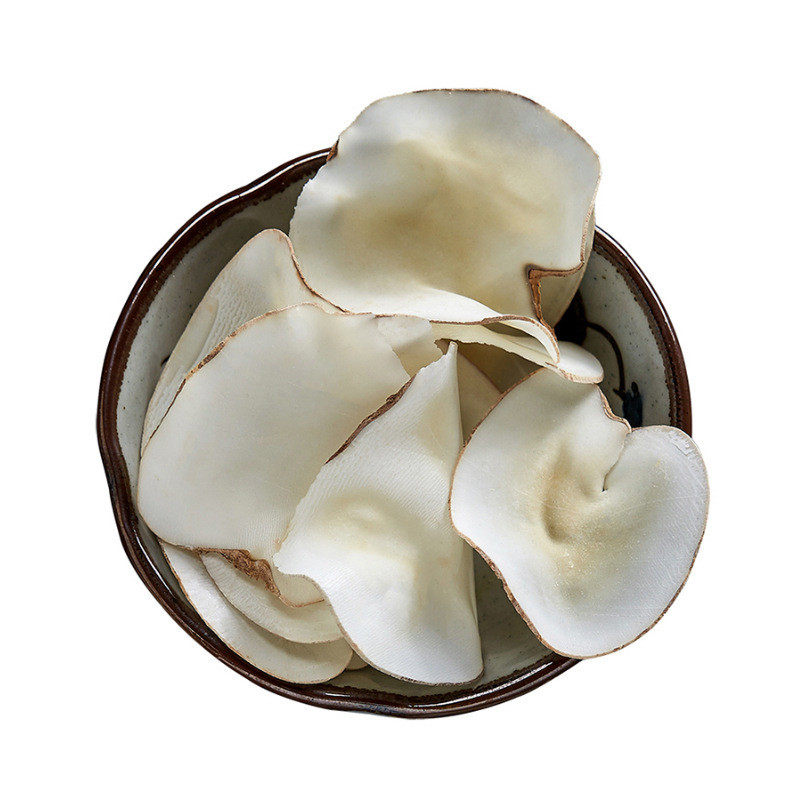 海底椰片中药材海椰子泡茶煲汤