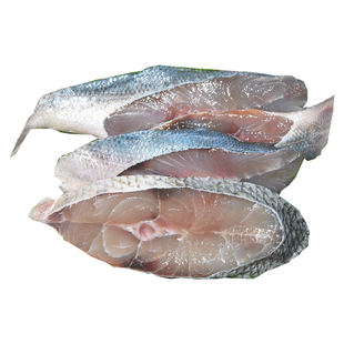 徐闻马友鱼片雷州乌石马友鱼湛江冰鲜鱼新鲜深海鱼冷冻鱼水产速冻