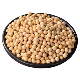 山西黄豆打豆浆专用大豆农家自种非转基因发豆芽豆大粒饱满新货