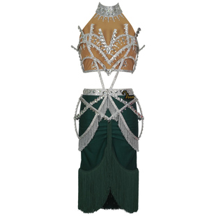 薇妮拉丁舞服演出花服比赛专用服装女儿童成人流苏连衣裙表演钻服