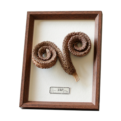 复古植物干花相框摆台装饰礼物