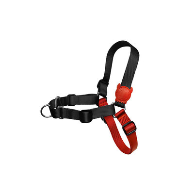 法斗zeedog柯基金毛防爆中大型犬