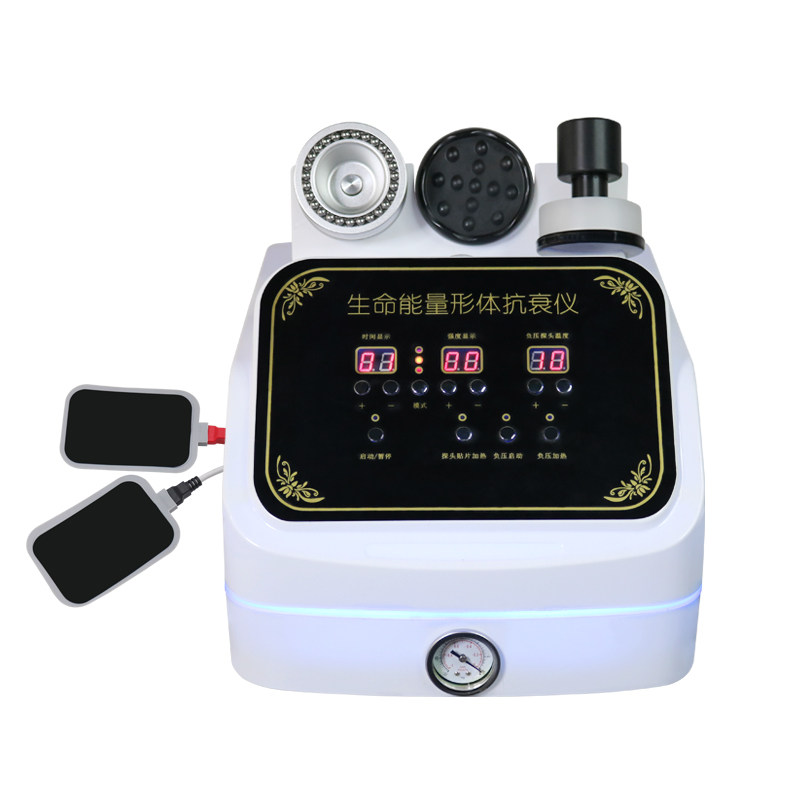 生命能量仪身体管理养生按摩仪器