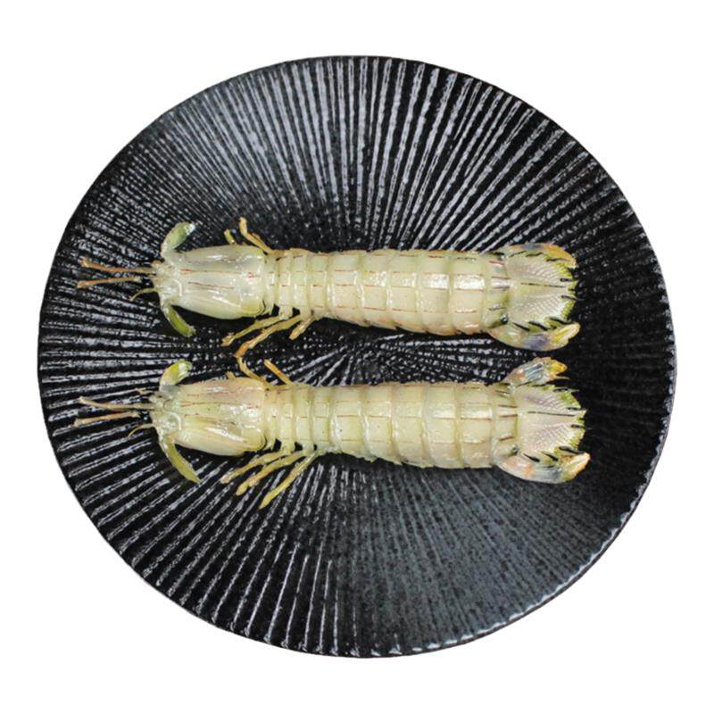 仿真皮皮虾模型食物螳螂摆件水产