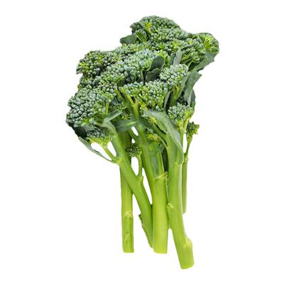 西洋芥蓝种子西兰苔种