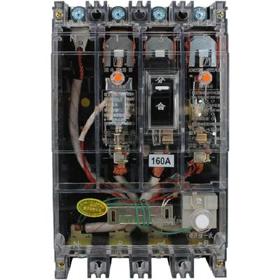 DZ20LE-4P-160A透明漏电断路器