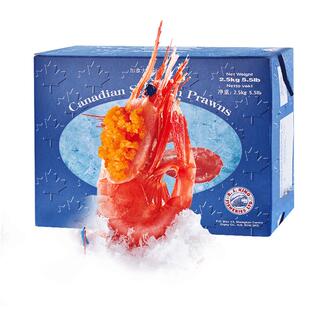官方国王北极甜虾头籽即食冰虾熟冻新鲜北极熊北极虾原箱海鲜水产