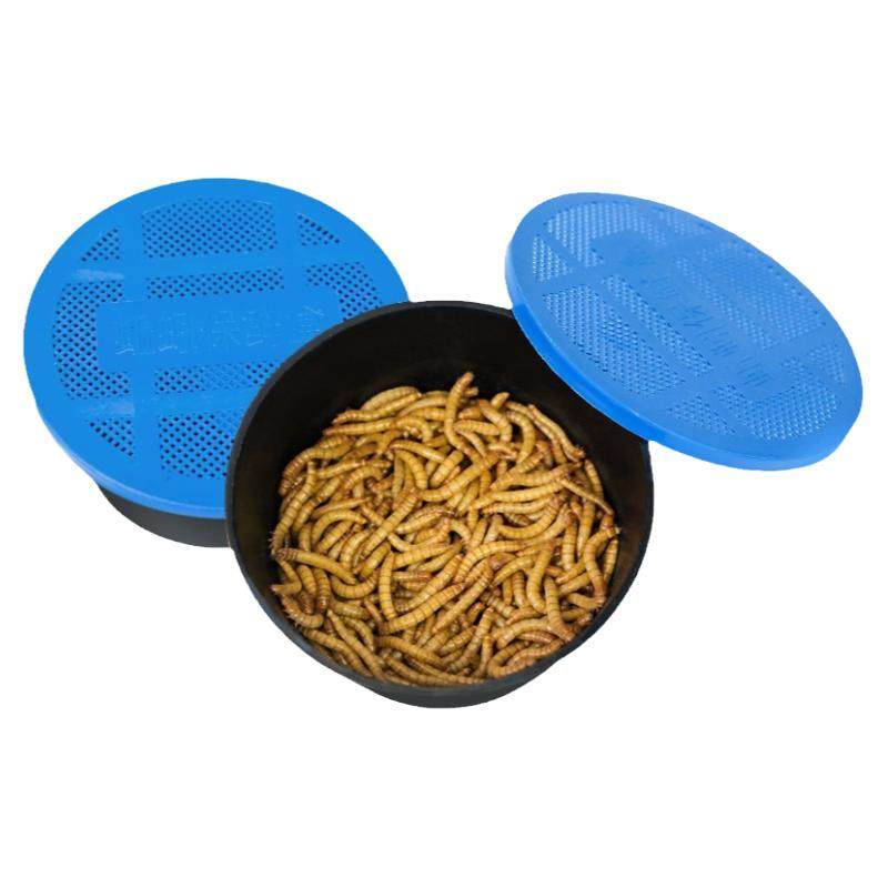 面包虫活虫黄粉虫鲜活体喂鸟乌龟仓鼠龙鱼食活饵守宫蜥蜴角蛙包邮