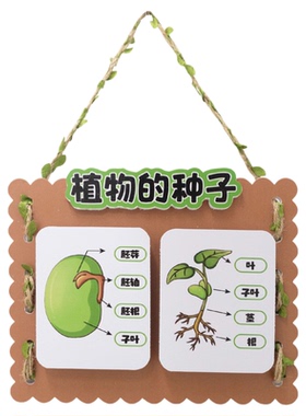 种子成长科学区环创植物角装饰