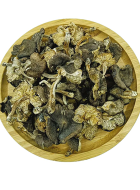 东北野生小灰蘑菇干货长白山特产
