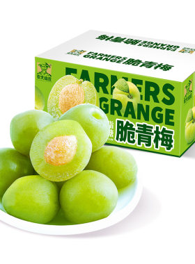 农夫山庄脆青梅脆爽青梅蜜饯