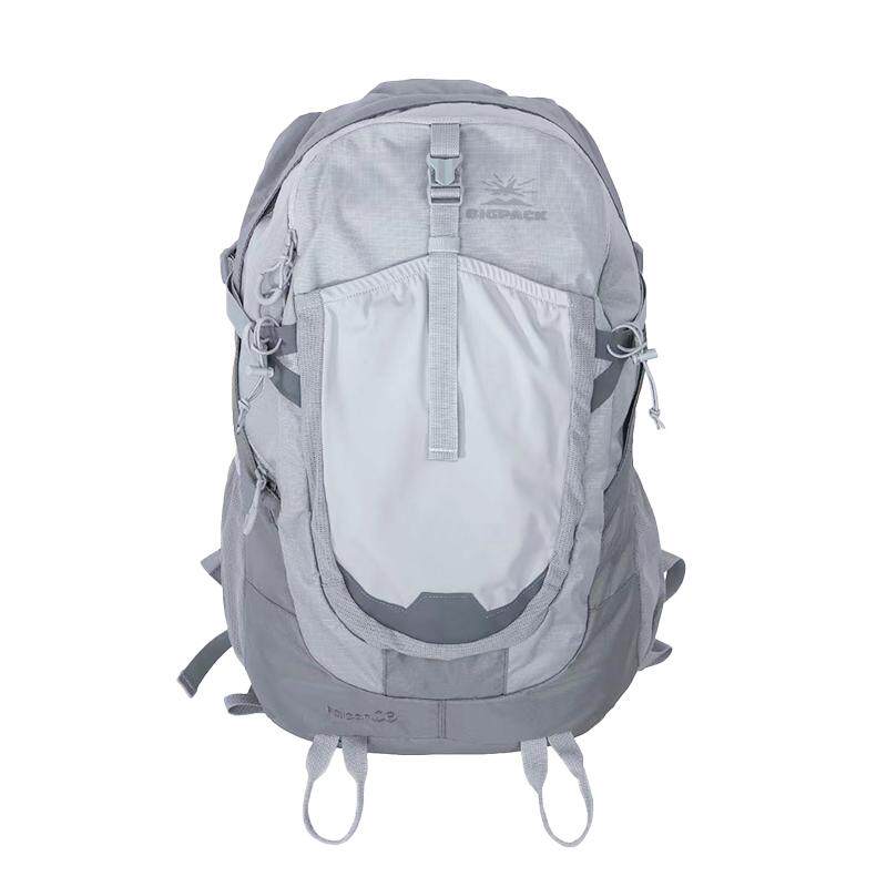bigpack派格专业登山包户外徒步男士双肩包大容量防水派格登山包