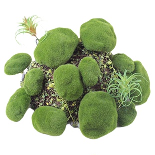 仿真苔藓石头 新款式 树皮苔藓泡沫石头苔藓球大小搭配造景微景观