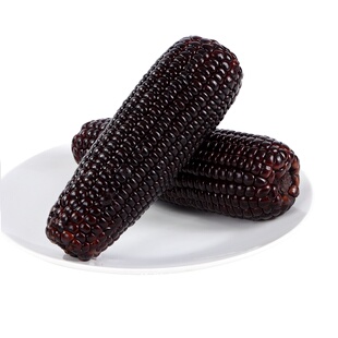 618节小农仙黑玉米粒粒香软糯营养丰富嚼劲十足富硒玉米160g6支装