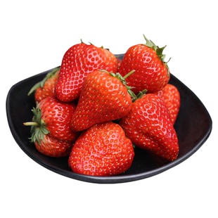 现货丹东99草莓新鲜水果红颜草莓奶油九九甜牛奶草莓礼盒大果空运