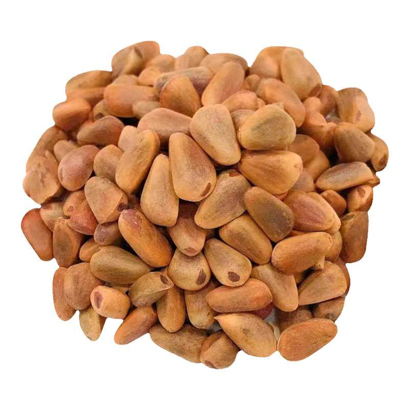 25新货生红松子720颗粒袋装500g