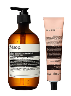 【官方正品】Aesop伊索 手部护理两件组：护手霜+洗手液礼盒礼物