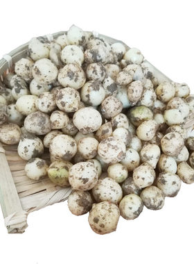 农家新鲜苦藠川渝特产500g