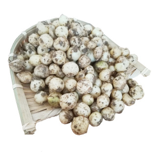 农家苦藠川渝特产团葱苦茭苦叫小蒜苦交教头野葱头薤白半野生种植