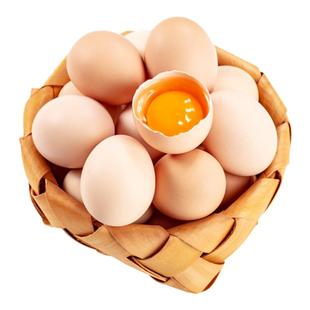 【家庭套餐】杨博士鲜鸡蛋正宗现捡散养蛋土鸡蛋30枚+初生蛋20枚