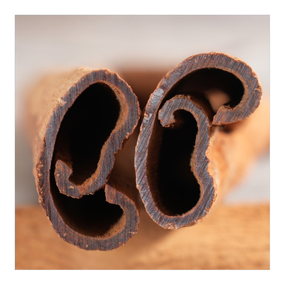 紫油桂黑油桂越南肉桂赶食间