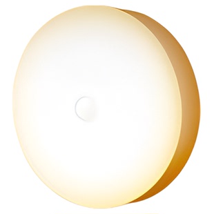 人体感应灯夜间自动亮灯家用走廊过道厕所智能声控充电小夜灯床头