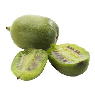 塔莎的花园 软枣猕猴桃果树盆栽家养易活庭院观果绿植可食用植物