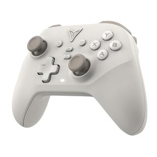 【入门首选】飞智沙漠狐入门标杆游戏手柄pc电脑版switch手柄无线蓝牙steam手柄类xbox