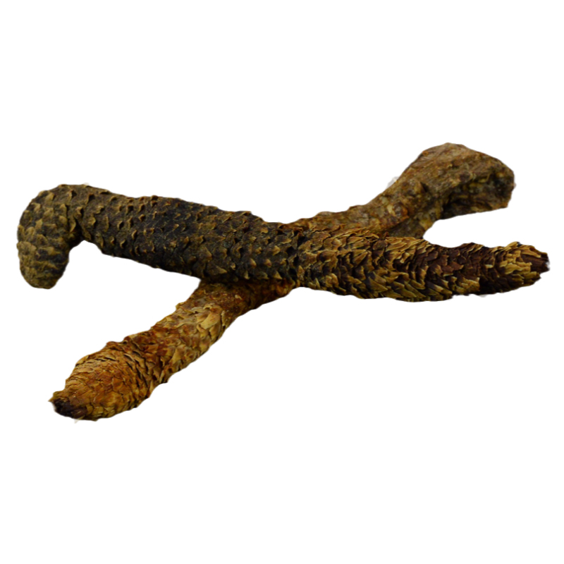 肉苁蓉中药材小药仙正品整根肉苁蓉切片大芸大云另售金锁阳淫羊藿