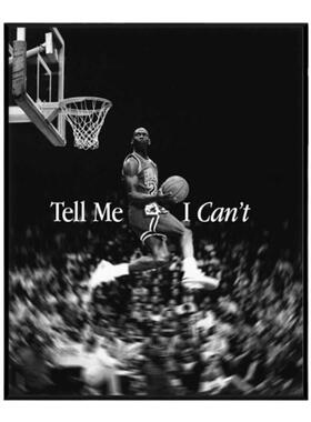 NBA现代简约轻奢装饰画