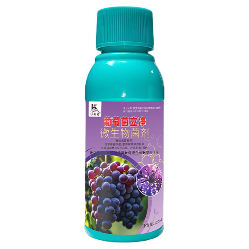 沃柯易葡萄菌立净防治结合促成长
